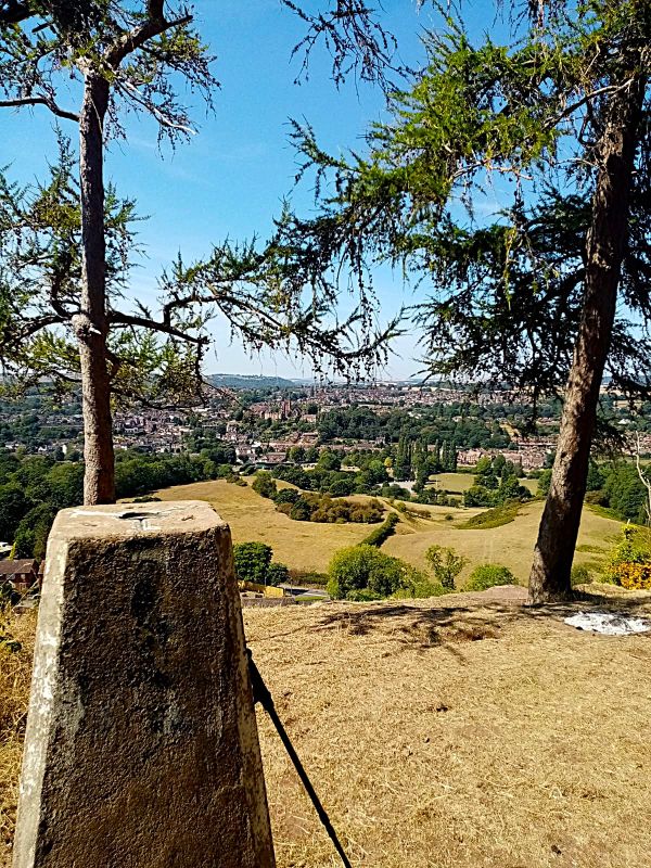 Trig poit with view